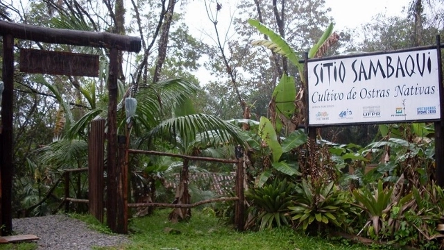 SÍTIO SAMBAQUI 