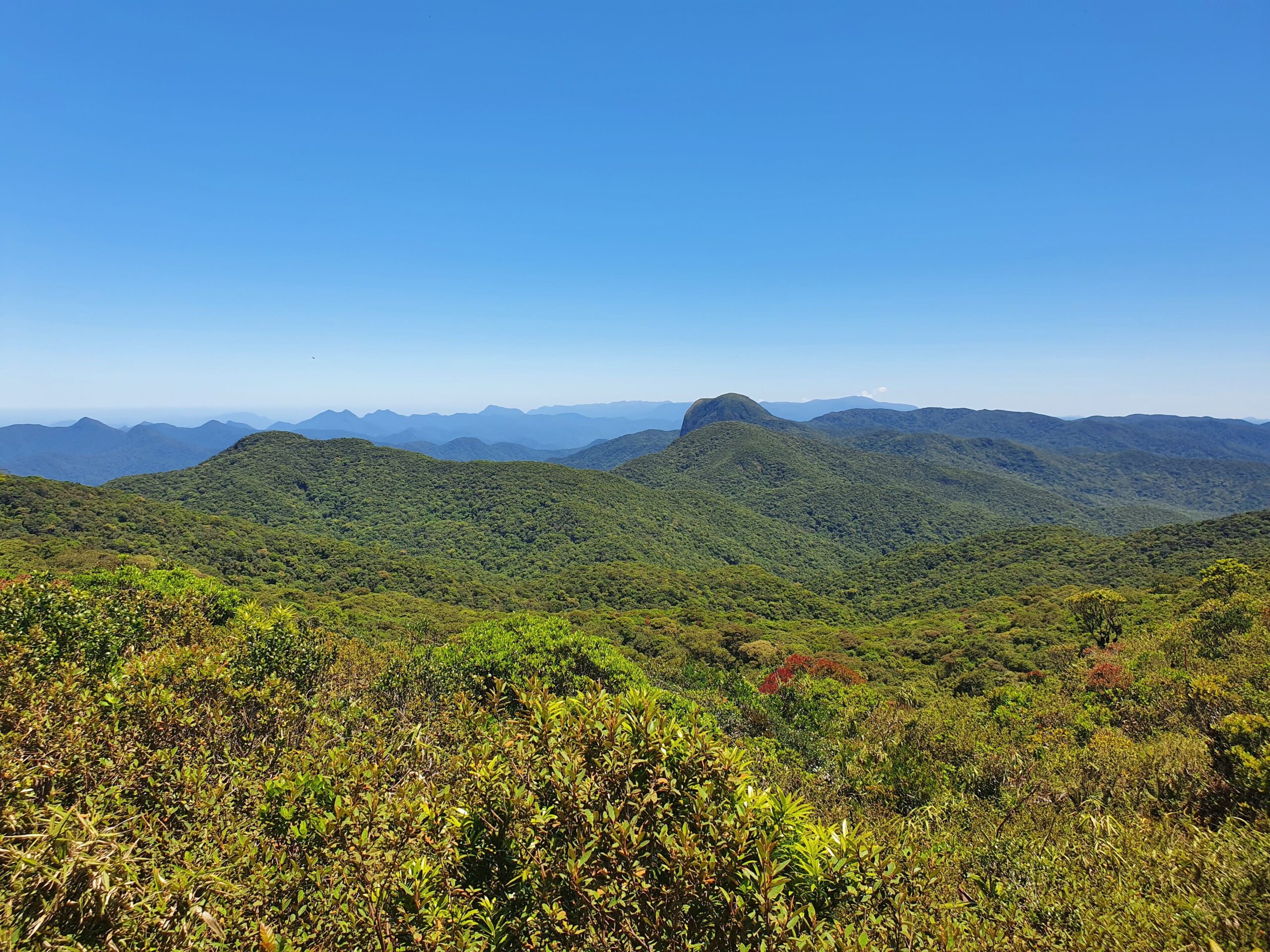 PARQUE NACIONAL GUARICANA 