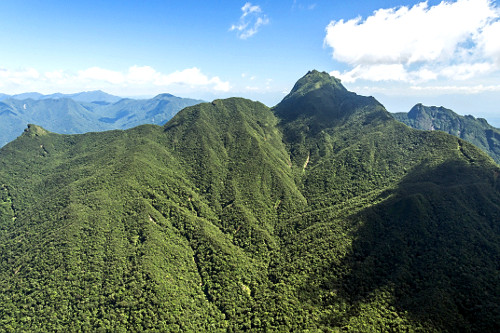PARQUE NACIONAL SAINT-HILAIRE/LANGE 